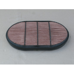 Воздушный фильтр  P607557CH