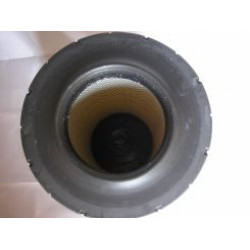 Воздушный фильтр AF25129М Fleetguard