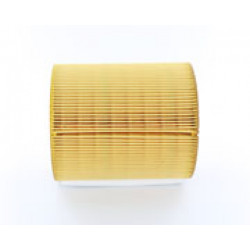 Воздушный фильтр AF26419 Fleetguard